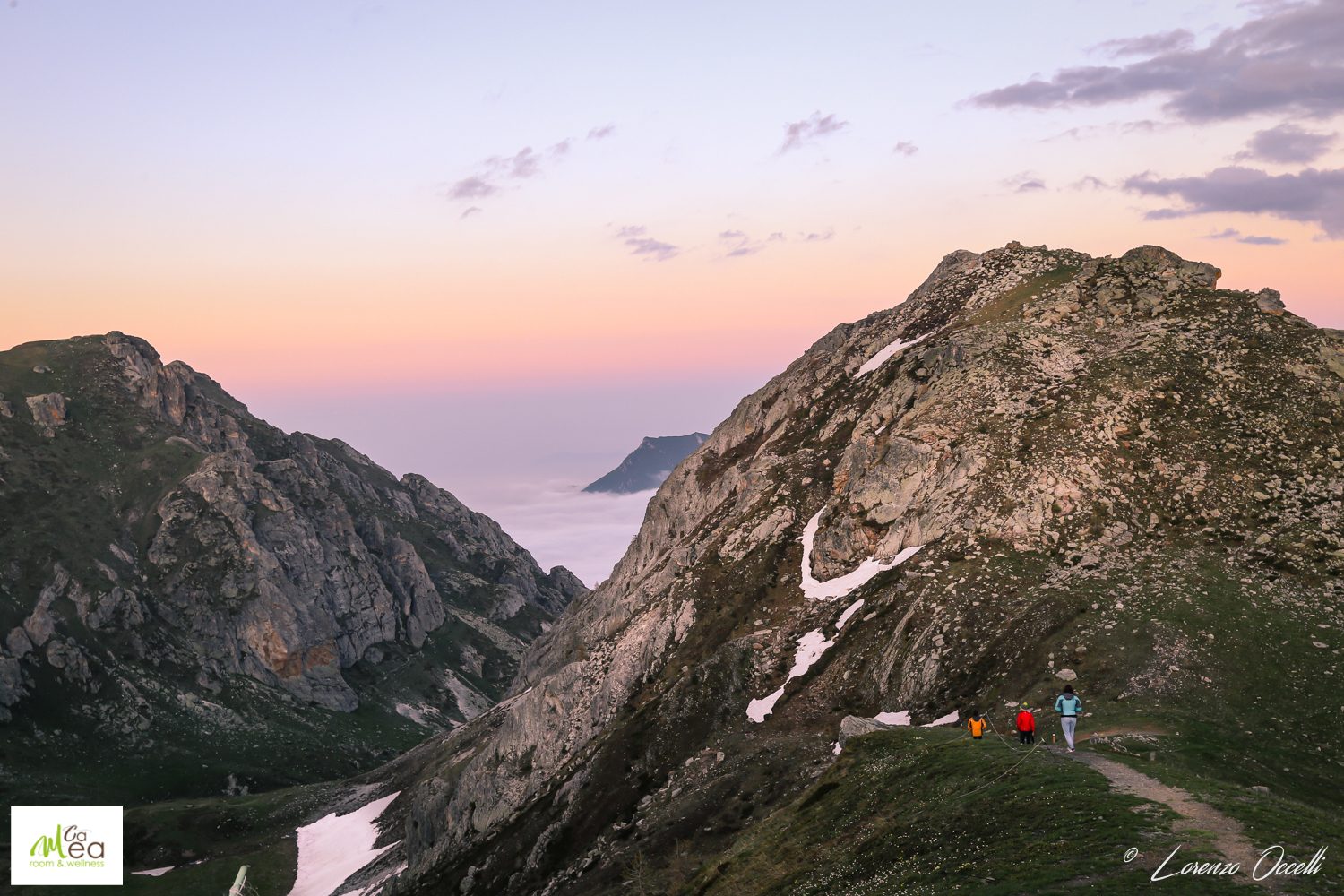 il bosco